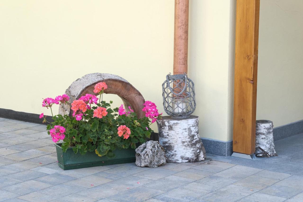 B&B Le Ciorciole Teser im Fleimtal Exterior foto
